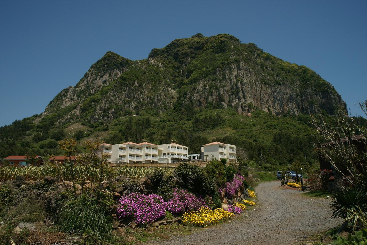 Jeju The Ocean Hill Pension مدينة سيوجويبو المظهر الخارجي الصورة